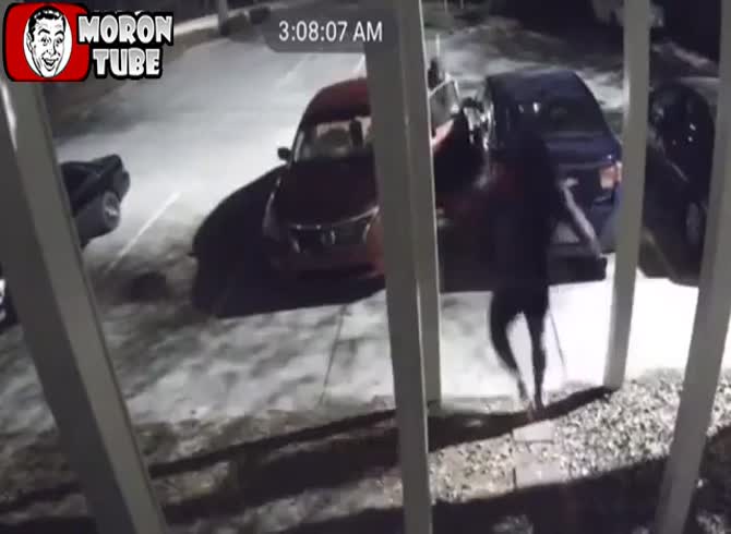 Video :Three large people fall on him when he attempts to steal the incorrect automobile